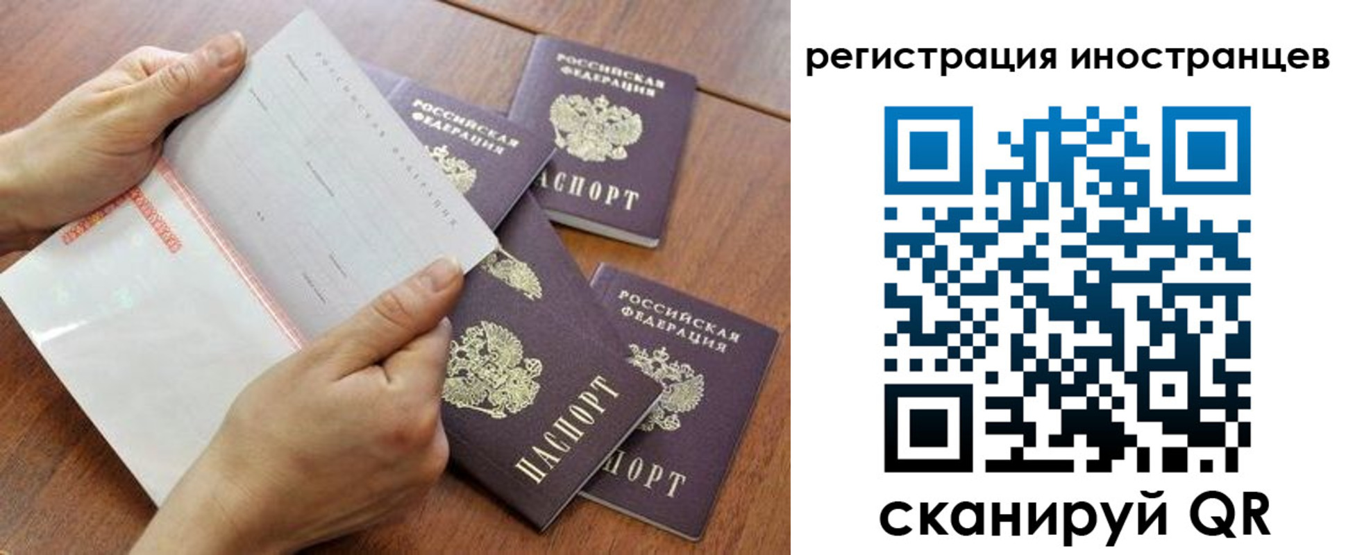 прописка поиск в Зиме